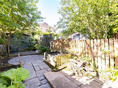 Picture 29